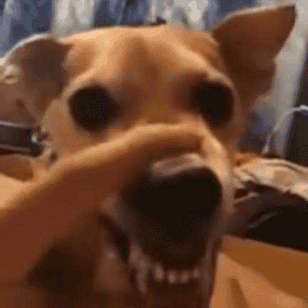 dog lalala meme AI Voice