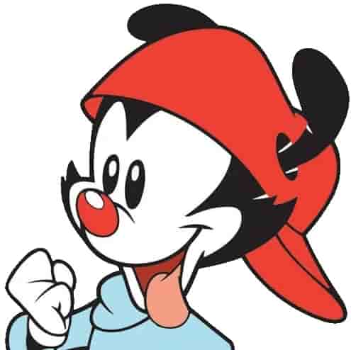Wakko Warner Image
