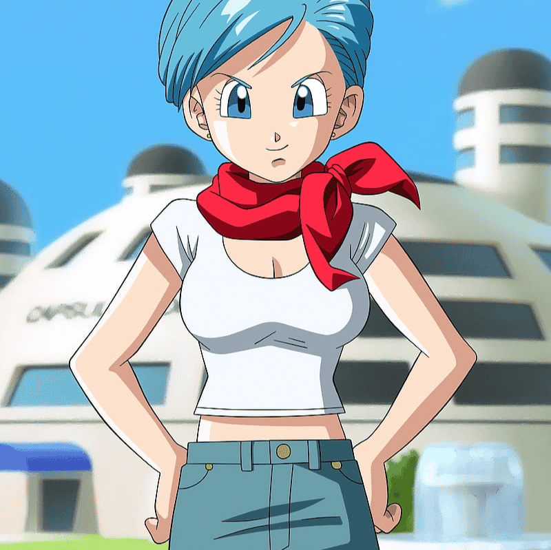 Bulma (Eng) Image