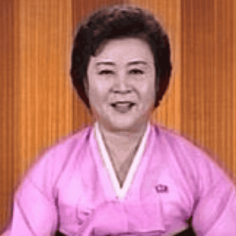 North Korean announcer  AI Voice