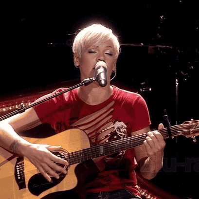 P!nk (Funhouse Era) Image