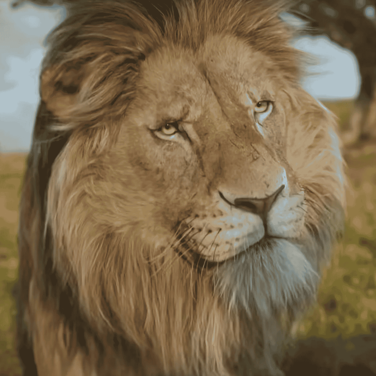 Obasi {Mufasa: The Lion King} AI Voice