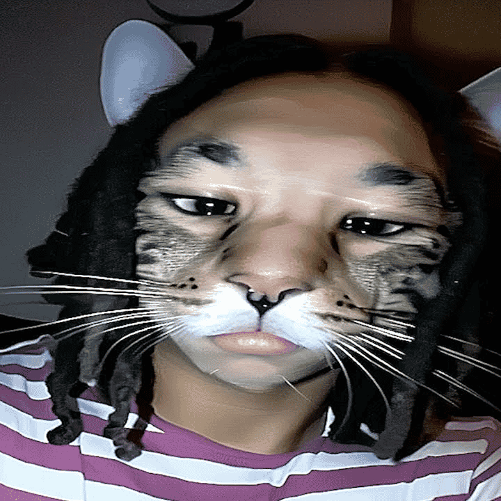 embro Image