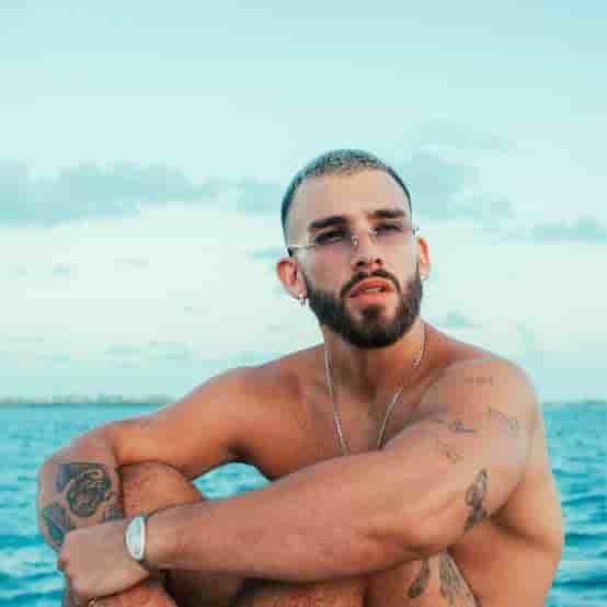 Manuel Turizo  Image