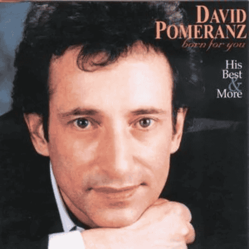 David Pomerancz AI Voice