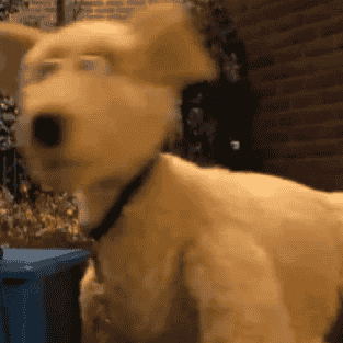 Brandeis (Sesame Street) AI Voice