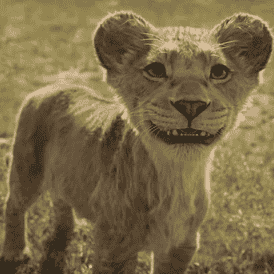 Young Mufasa {Mufasa: The Lion King} Image