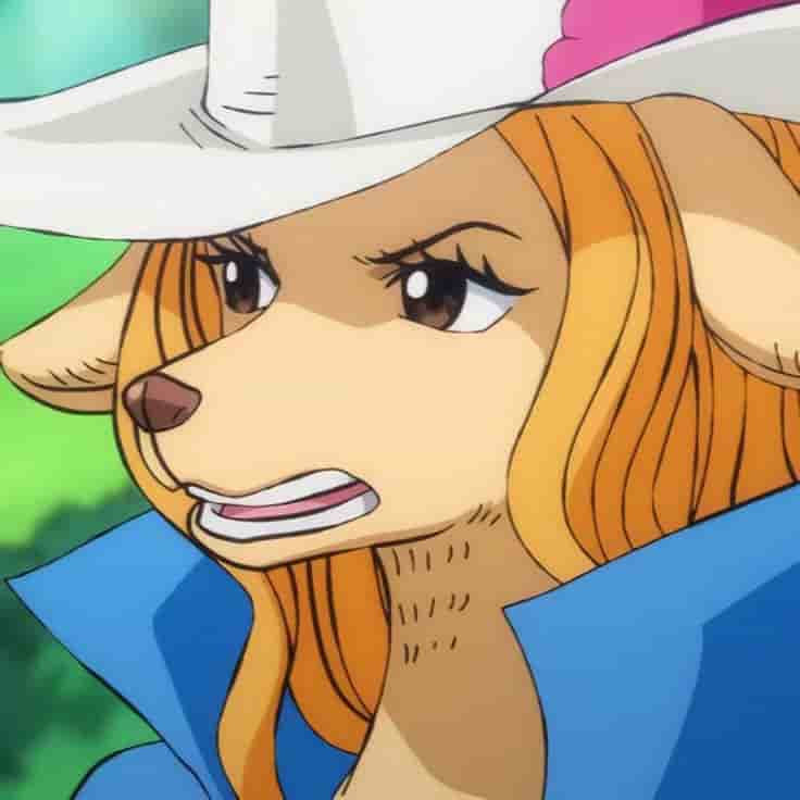 Wanda (One Piece) (JP) Voice Image