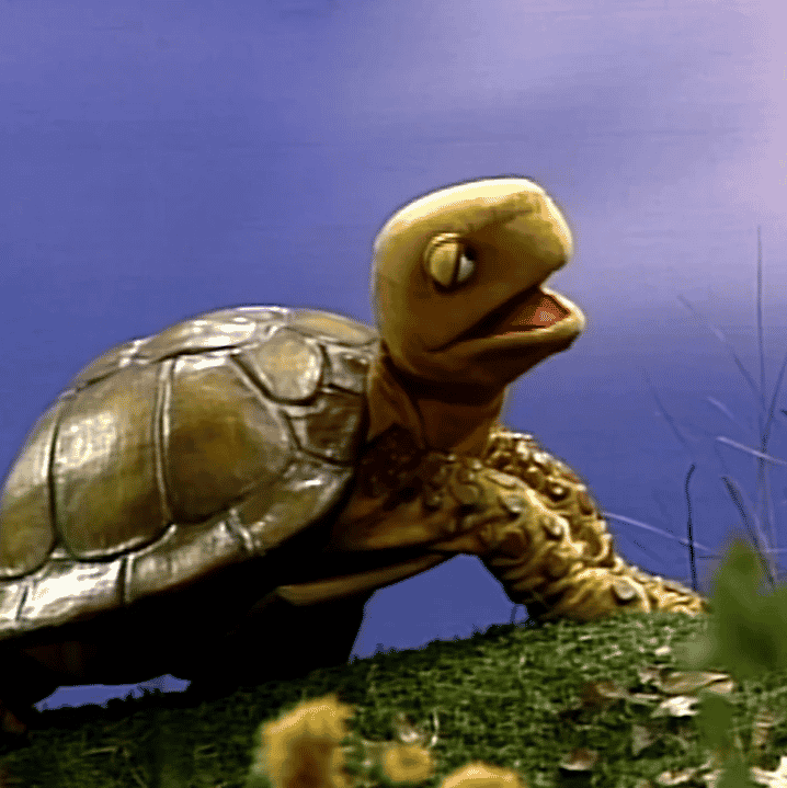 Shelly the Turtle (Sesame Street) AI Voice