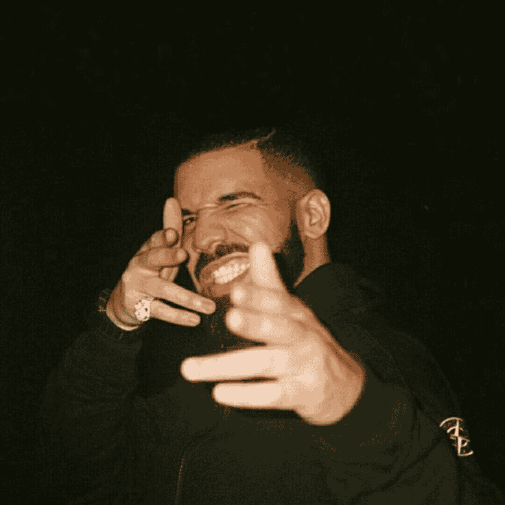 Drake ‍‍ Image