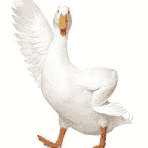 Aflac Duck AI Voice