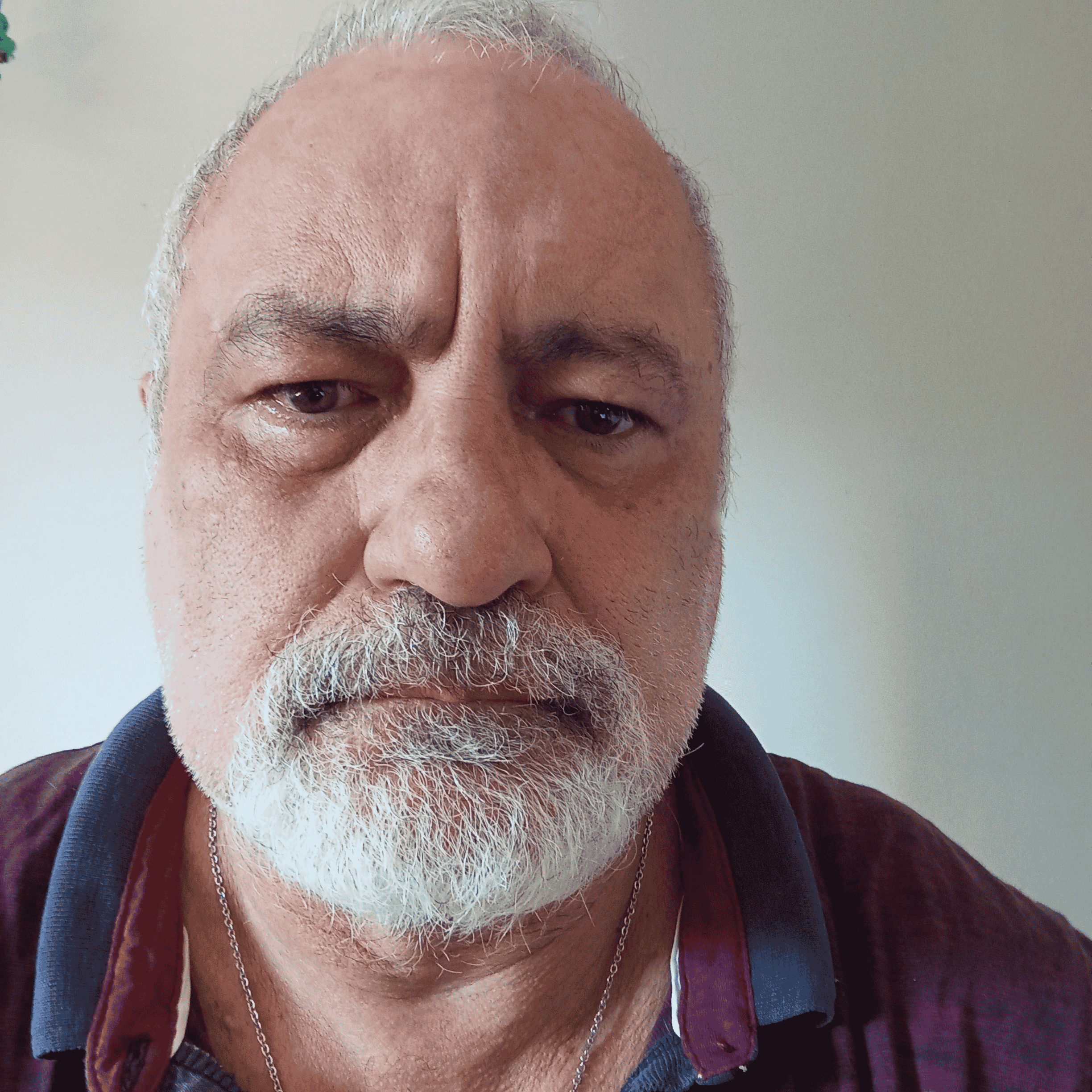 Carlos Rego AI Voice