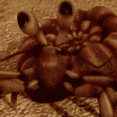Henry Hermit Crab (Dinosaur Train) AI Voice