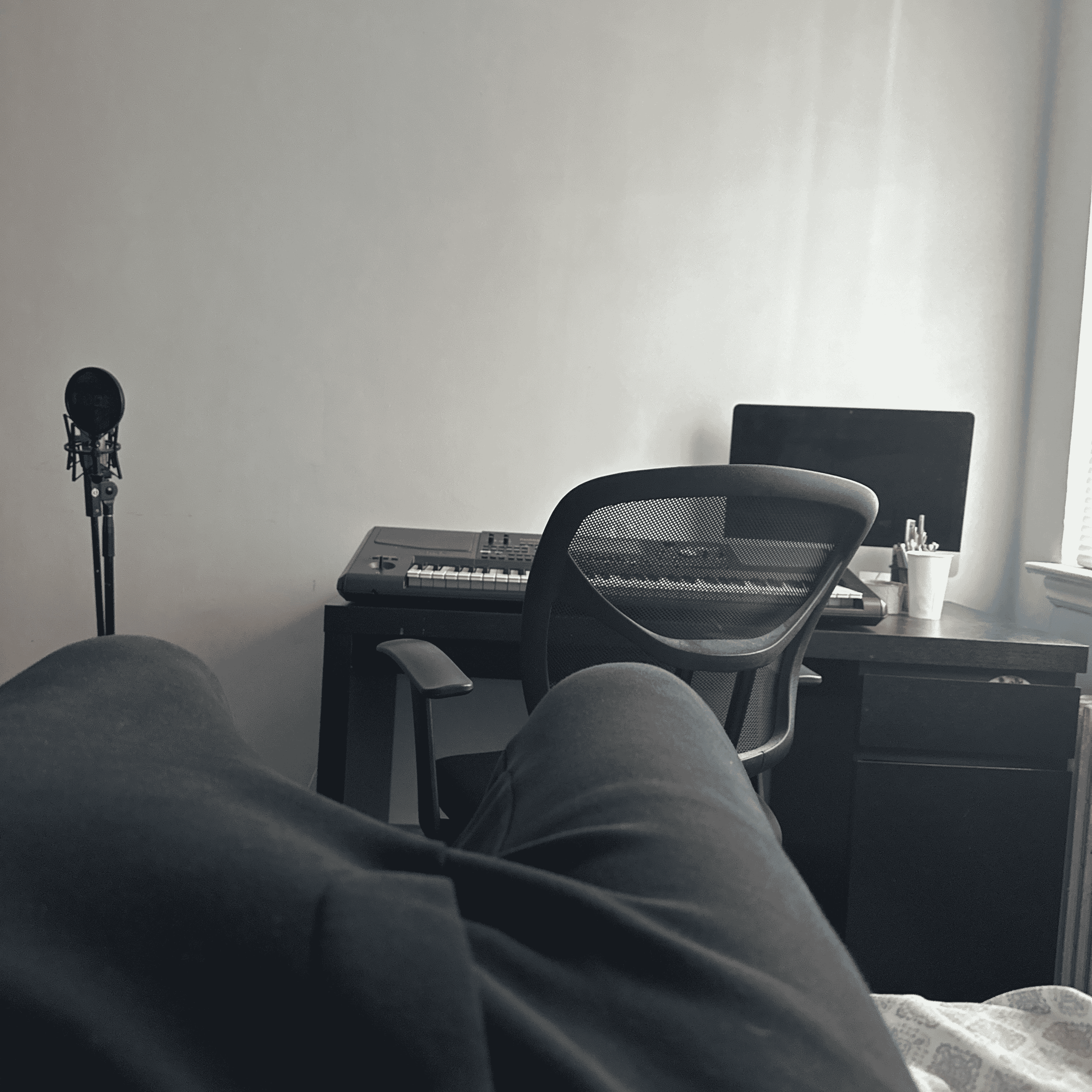 Wli AI Voice