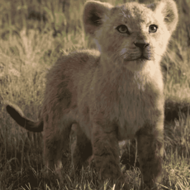 Young Nala {The Lion King 2019} AI Voice