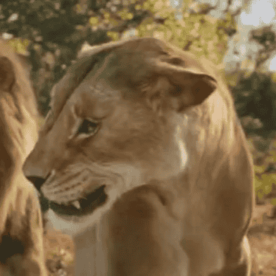 Afia {Mufasa: The Lion King} AI Voice