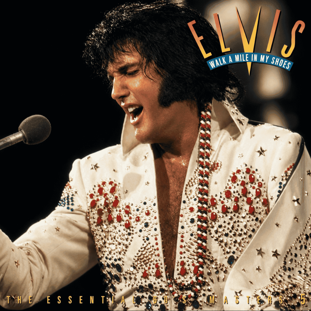 Elvis Presley - See See Rider  AI Voice