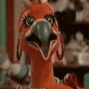 Bonita Flamingo AI Voice