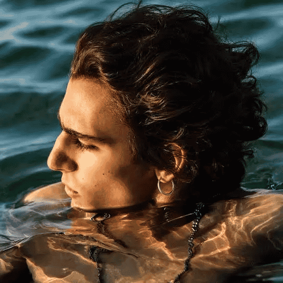 Tamino Ai vocals AI Voice