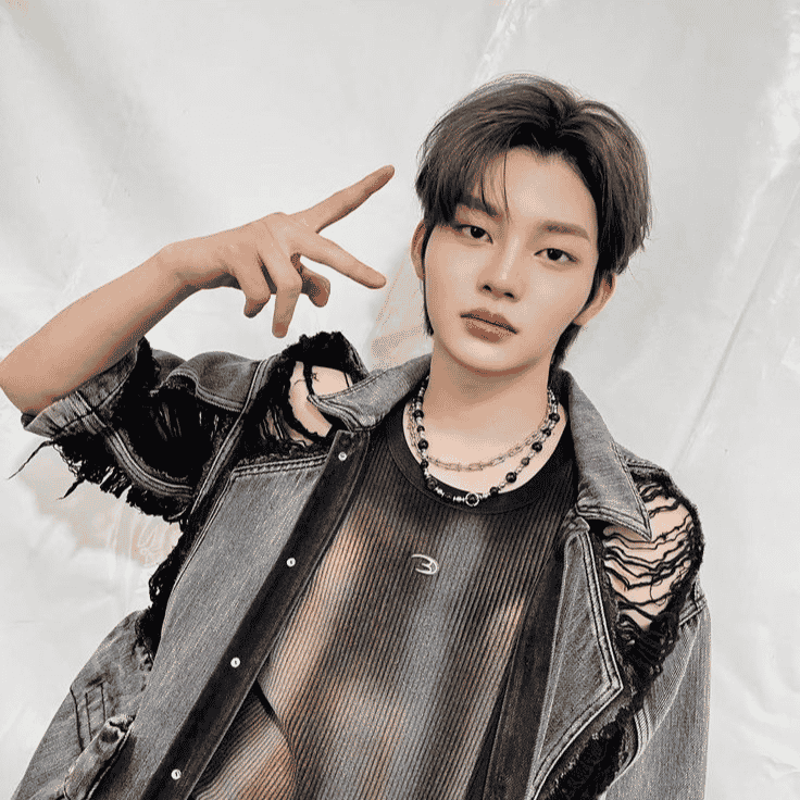 Guo Dianjia AI Voice