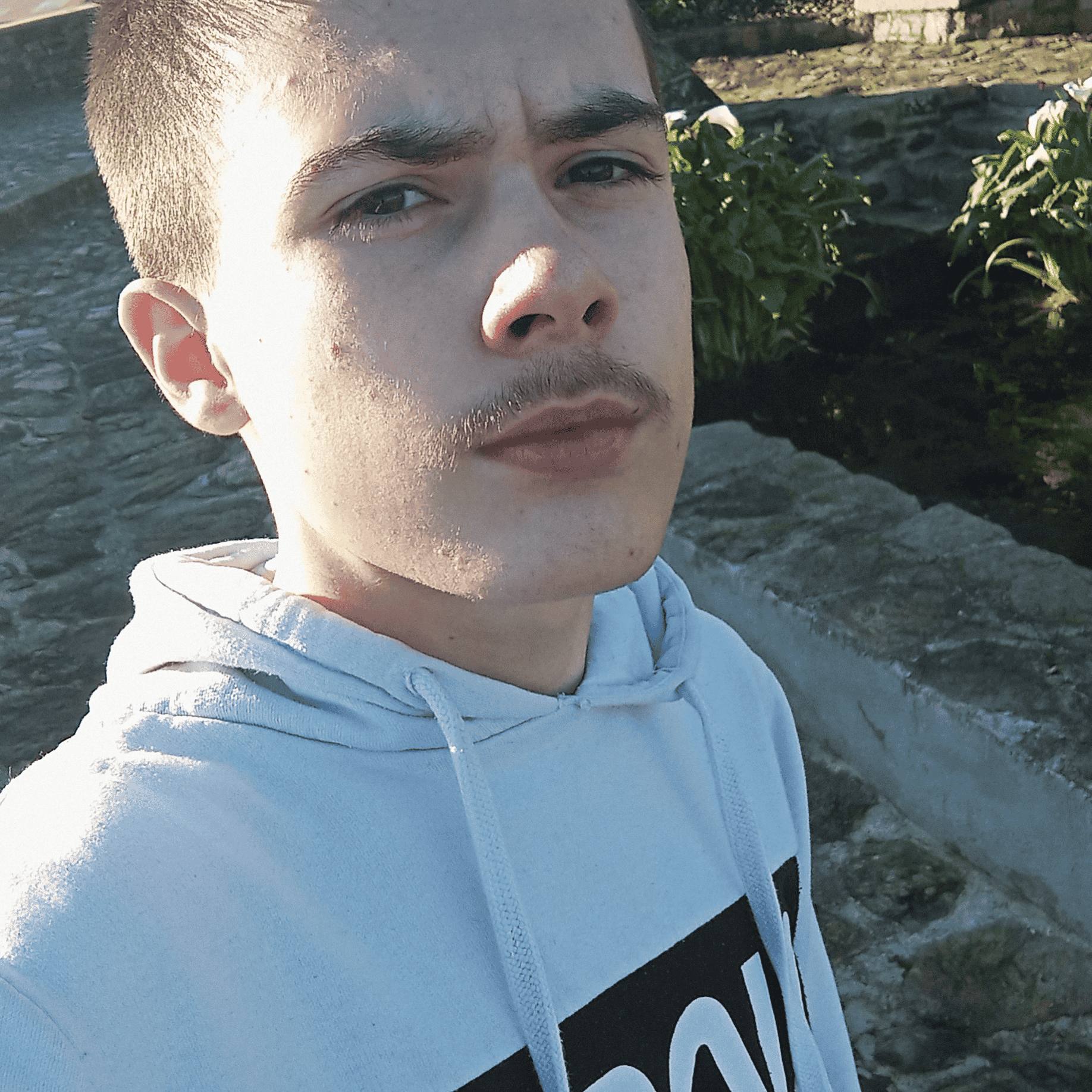 Algator00 (new) Image