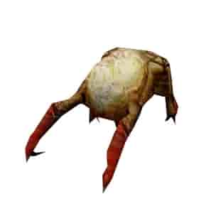 headcrab Half-life Image