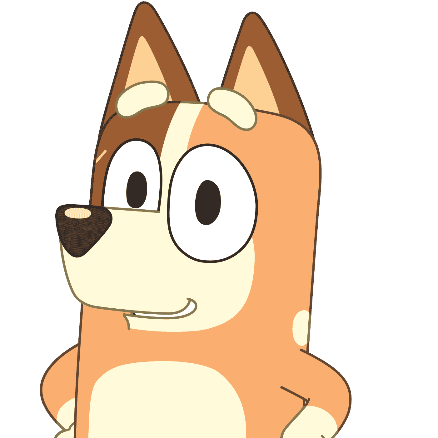 Chilli Heeler Image