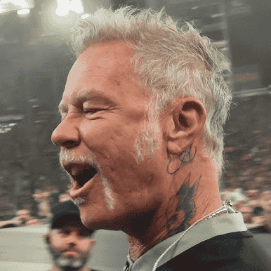 James hetfield V5 Image