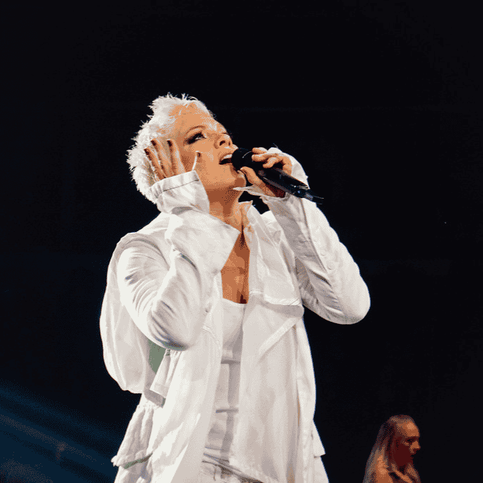 P!nk (Beautiful Trauma Era) Image