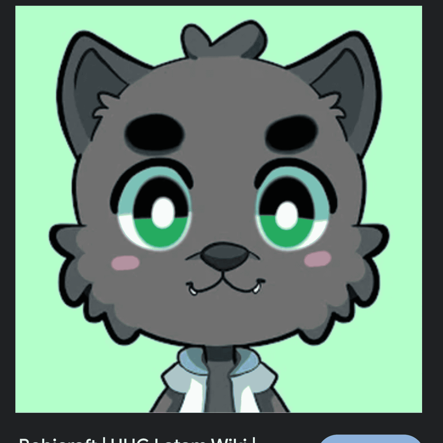 Bobicraftv1 Image