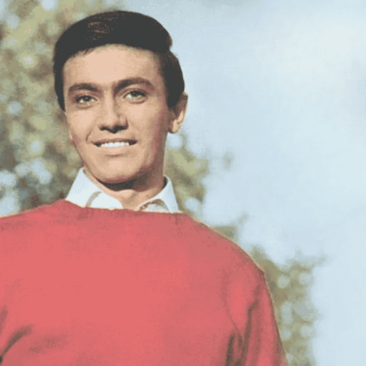 Rex Gildo 60s AI Voice