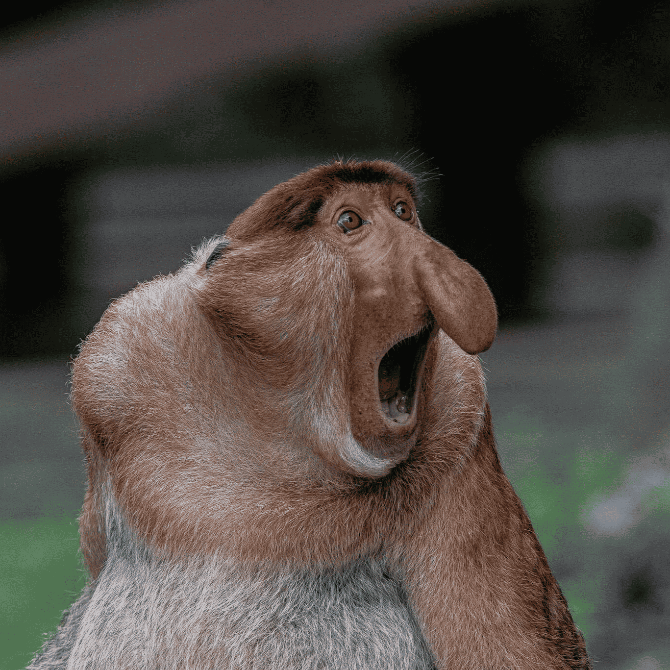 Proboscis AI Voice