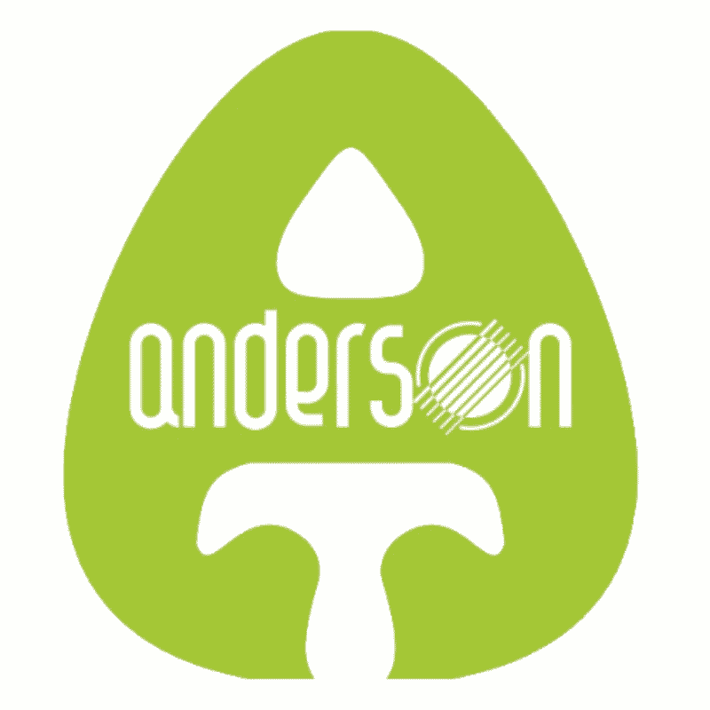 Anderson Texeira AI Voice