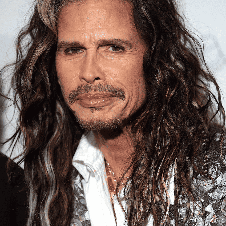 Steve Tyler (lead singer of Aerosmith) AI Voice