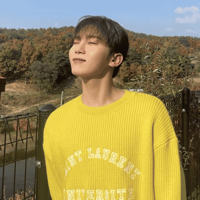 SEVENTEEN - SEUNGKWAN AI Voice