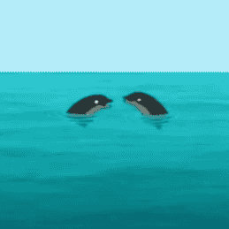 Screaming Black Dolphins (Family Guy) Image