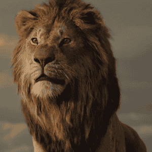 Adult Simba {The Lion King 2019} Image