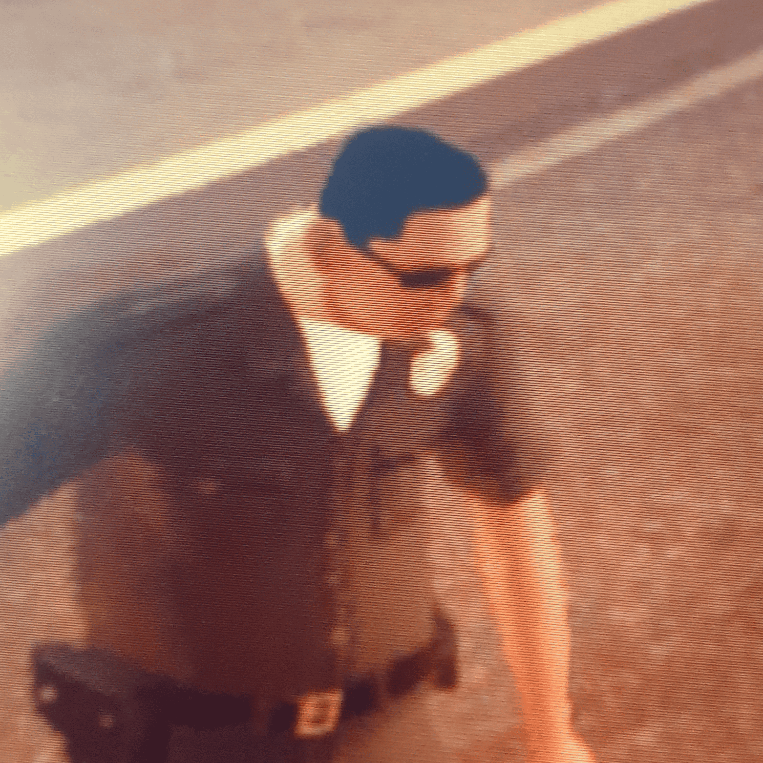 Cop #3 (Gta San Andreas) AI Voice