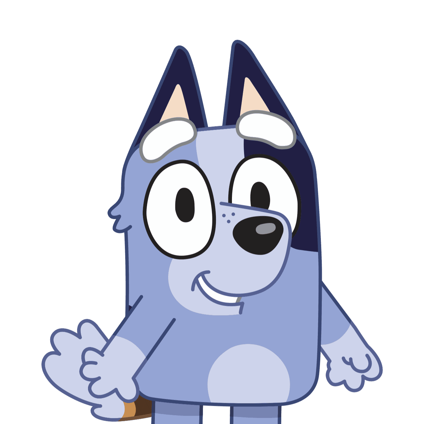 socks Image