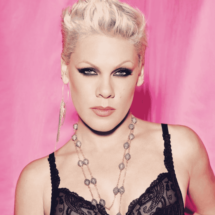 P!nk AI Voice