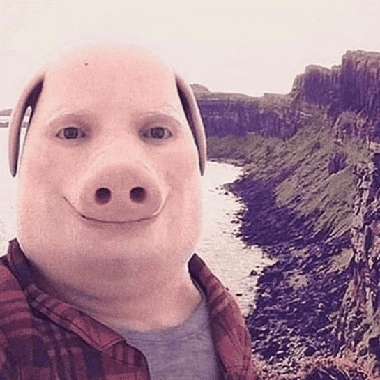 lldPork AI Voice