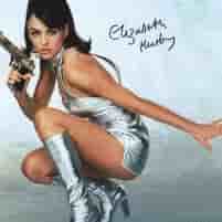 Vanessa Kensington (Elizabeth Hurley) Image