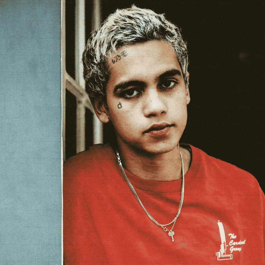 Dominic Fike AI Voice