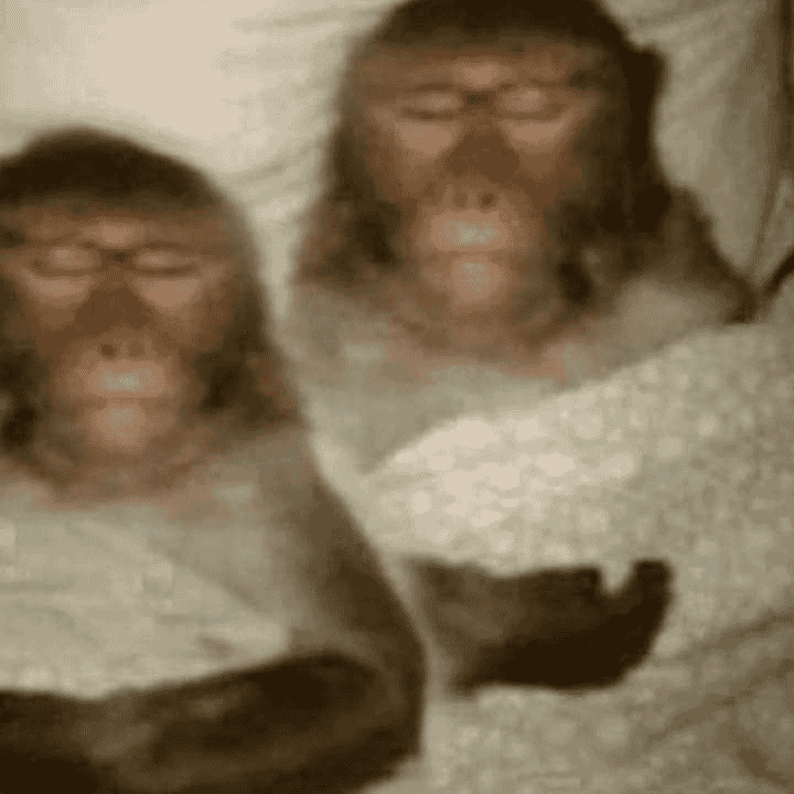Wiss tkt dis rien Image