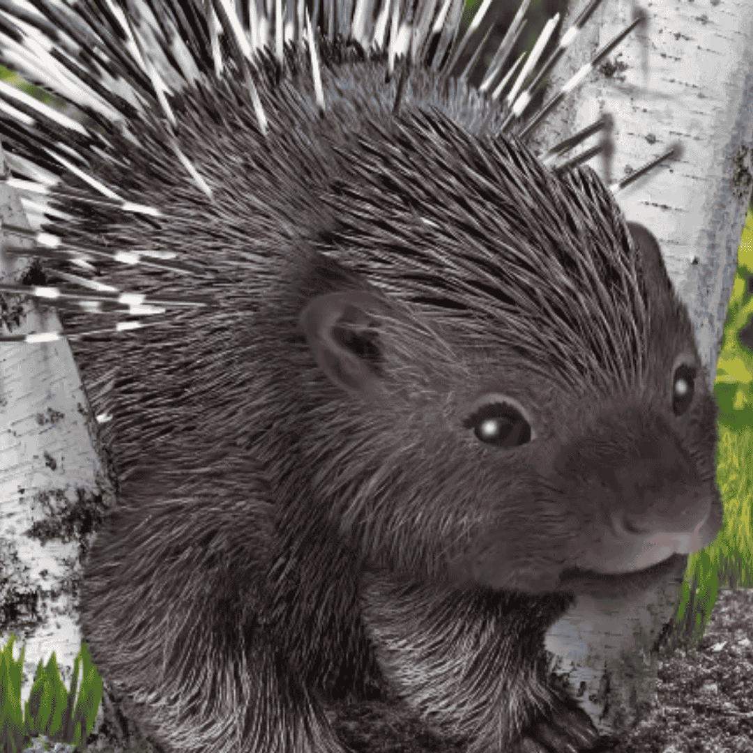 The Porcupine (Wonder Pets: In The City) AI Voice