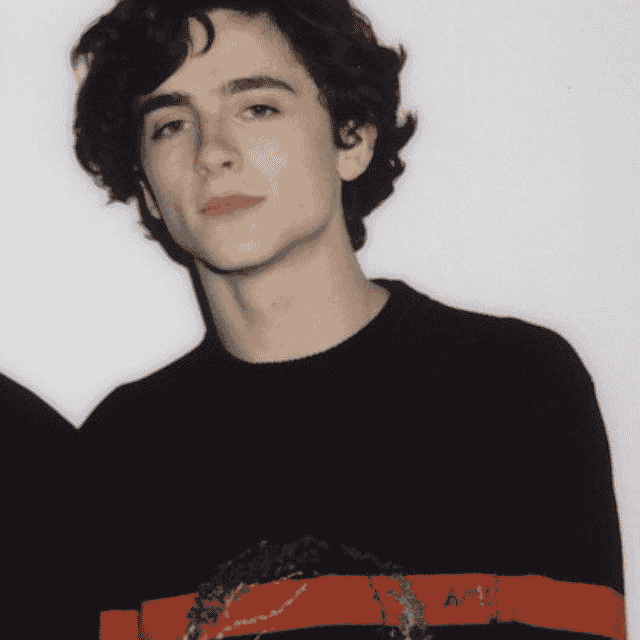 Timothee Chalamet (Timmy tin) Image