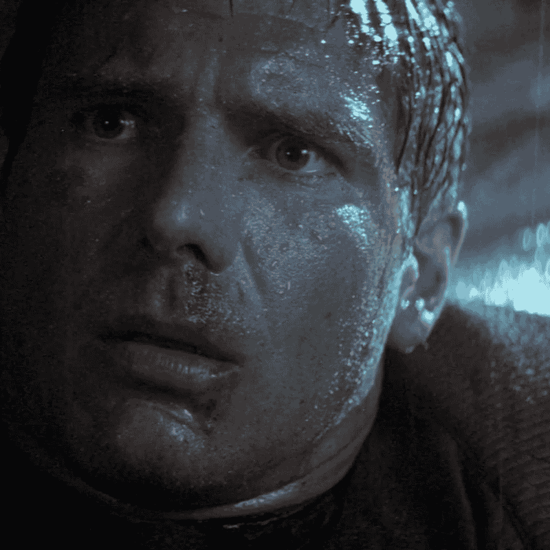Harrison Ford Image