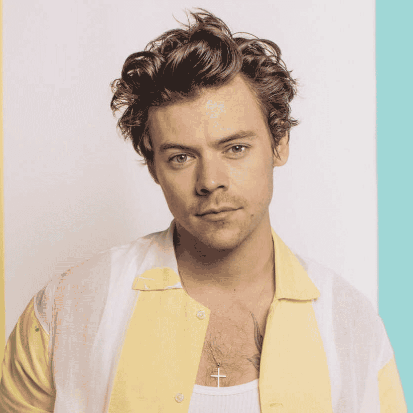 Harrie Styles (HQ) Image