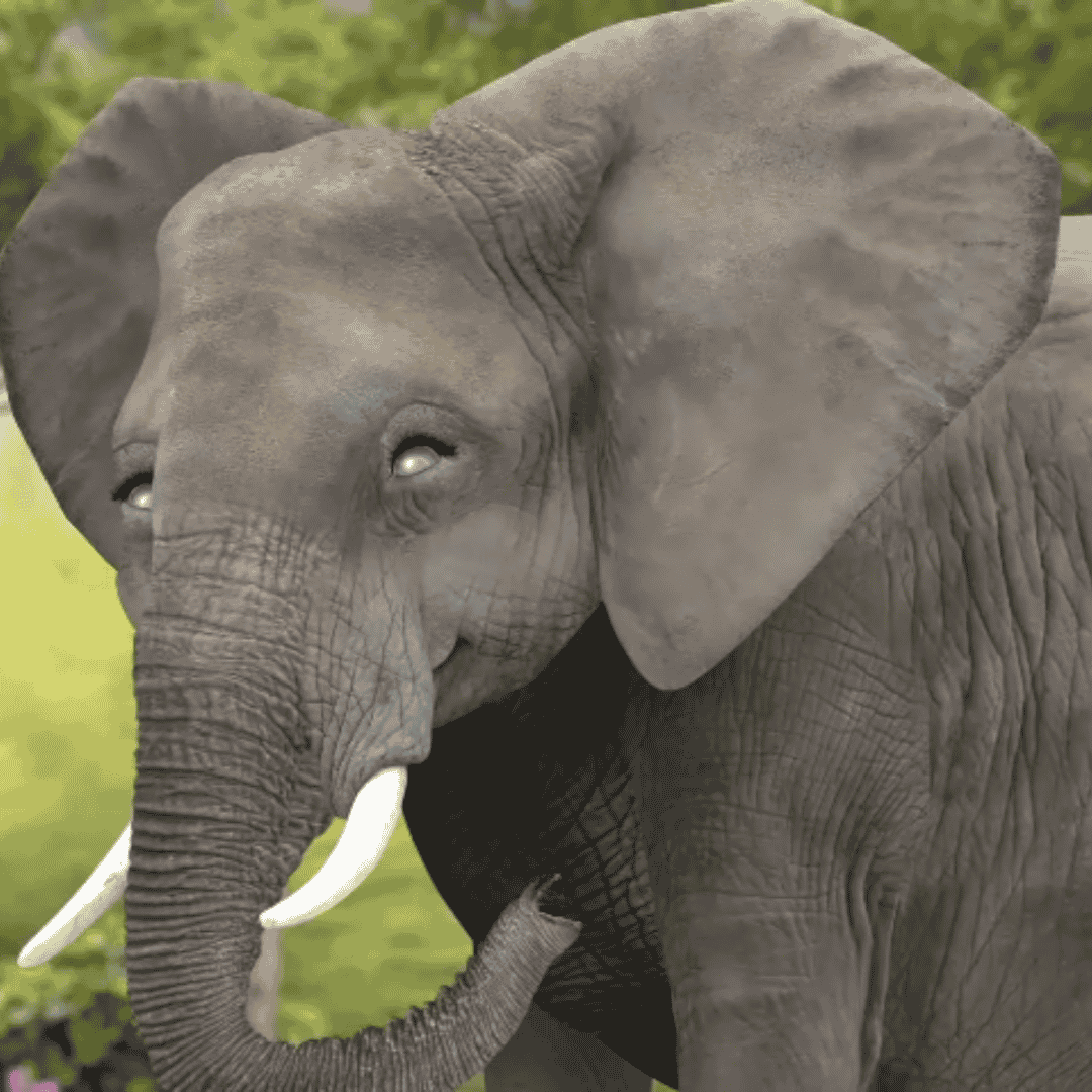 AI Little Elephant (Wonder Pets In The City) AI Voice