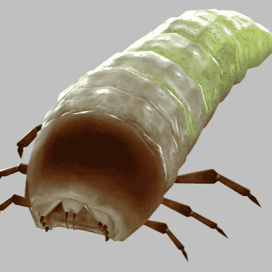 antlion grub HL2:ep2 AI Voice